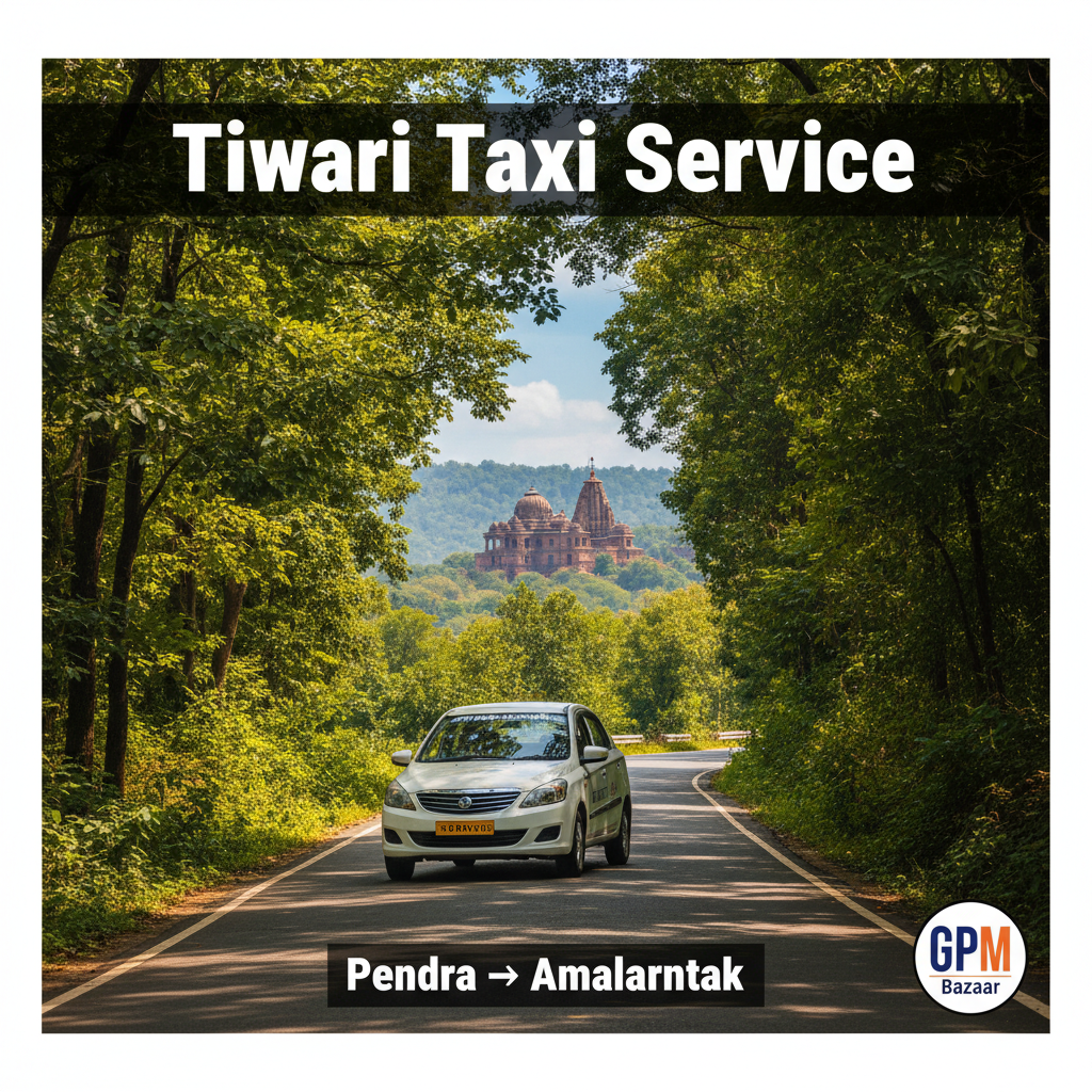 Tiwari Taxi Service – Taxi in Gaurella - Overview