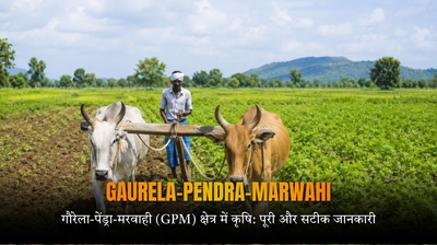 गौरेला-पेंड्रा-मरवाही (GPM) क्षेत्र में कृषि: पूरी और सटीक जानकारी