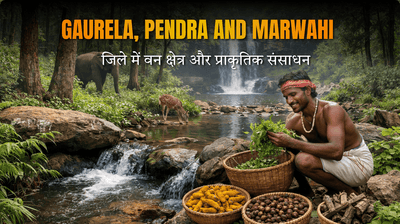 GPM जिले में वन क्षेत्र और प्राकृतिक संसाधन