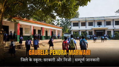 GPM जिले के स्कूल: सरकारी और निजी 