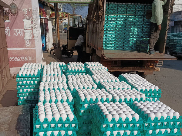 Stacks of green and white egg crates with a truck in the background.