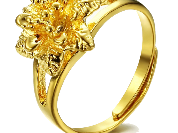 Ganga Prasad Soni Jewellers – Gold & Silver in Pendra Road