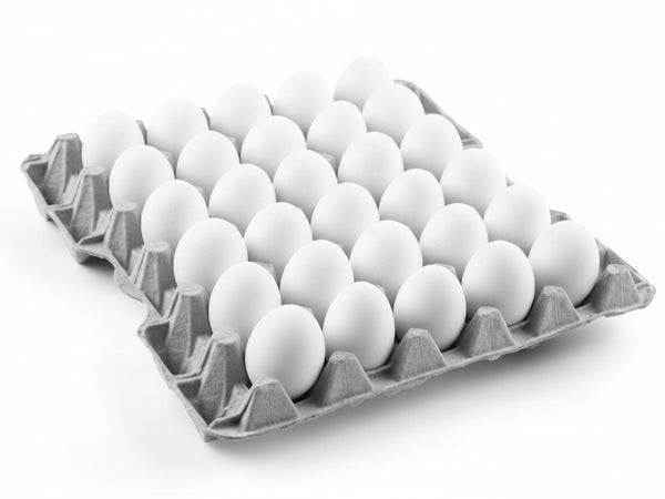 Jaiswal Egg Center – Fresh Eggs in Gaurella