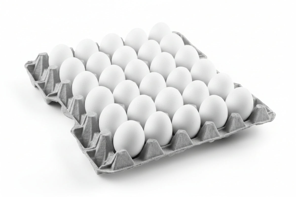 Jaiswal Egg Center – Fresh Eggs in Gaurella - Overview