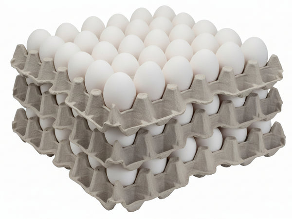 Jaiswal Egg Center – Fresh Eggs in Gaurella