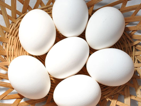 Jaiswal Egg Center – Fresh Eggs in Gaurella