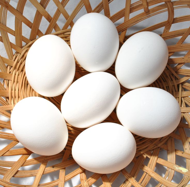 Jaiswal Egg Center – Fresh Eggs in Gaurella - Services