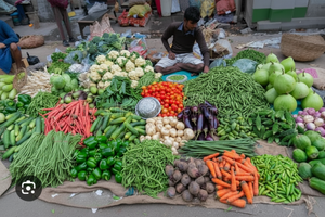 Puneet Vegetable Shop – Fresh Vegetables in Pendra