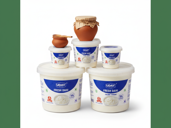 Fresh Curd and Yogurt - Uday Dairy
