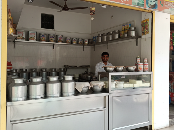 Narmada Dairy – Shop Interior (Enhanced Square)