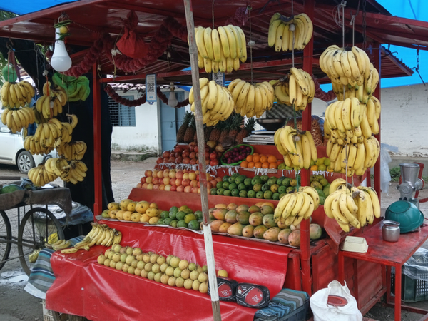 Sonkar Fruit Shop – bananas and mangoes stall – square optimized
