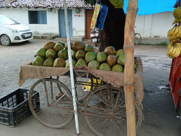 Sonkar Fruit Shop – coconut cart – square optimized