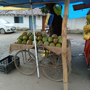 Sonkar Fruit Shop – coconut cart – square optimized