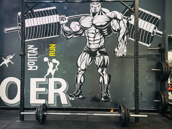 Professional Workout Space